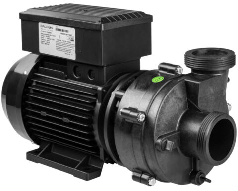 pompe bi vitesse balboa niagara 2 hp
