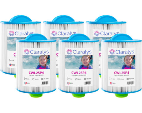 filtre claralys cwl25p4 – pas de vis mpt 1,5 pouces – carton de 6 filtres
