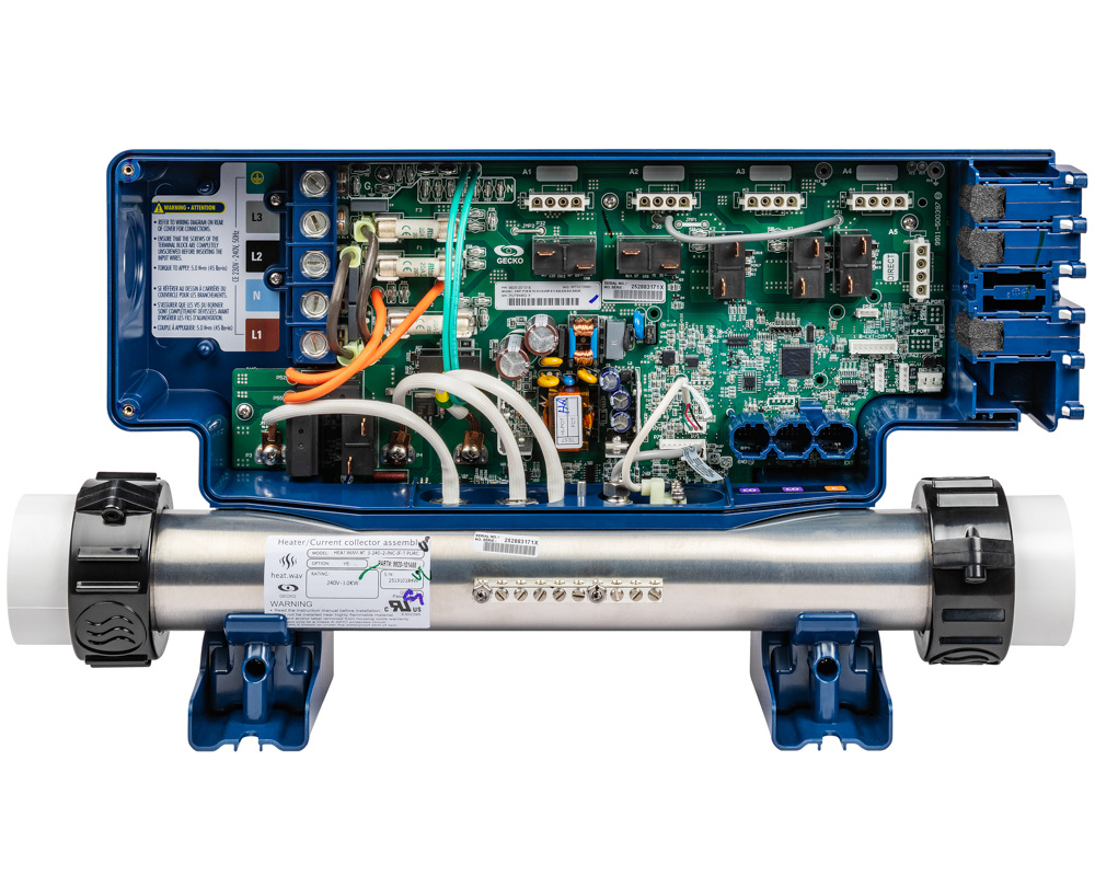 Gecko in.ye-5-V3 Gecko in.ye-5-V3